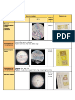 Animal-Tissue Summary