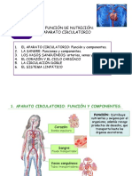 5 - Circulatorio