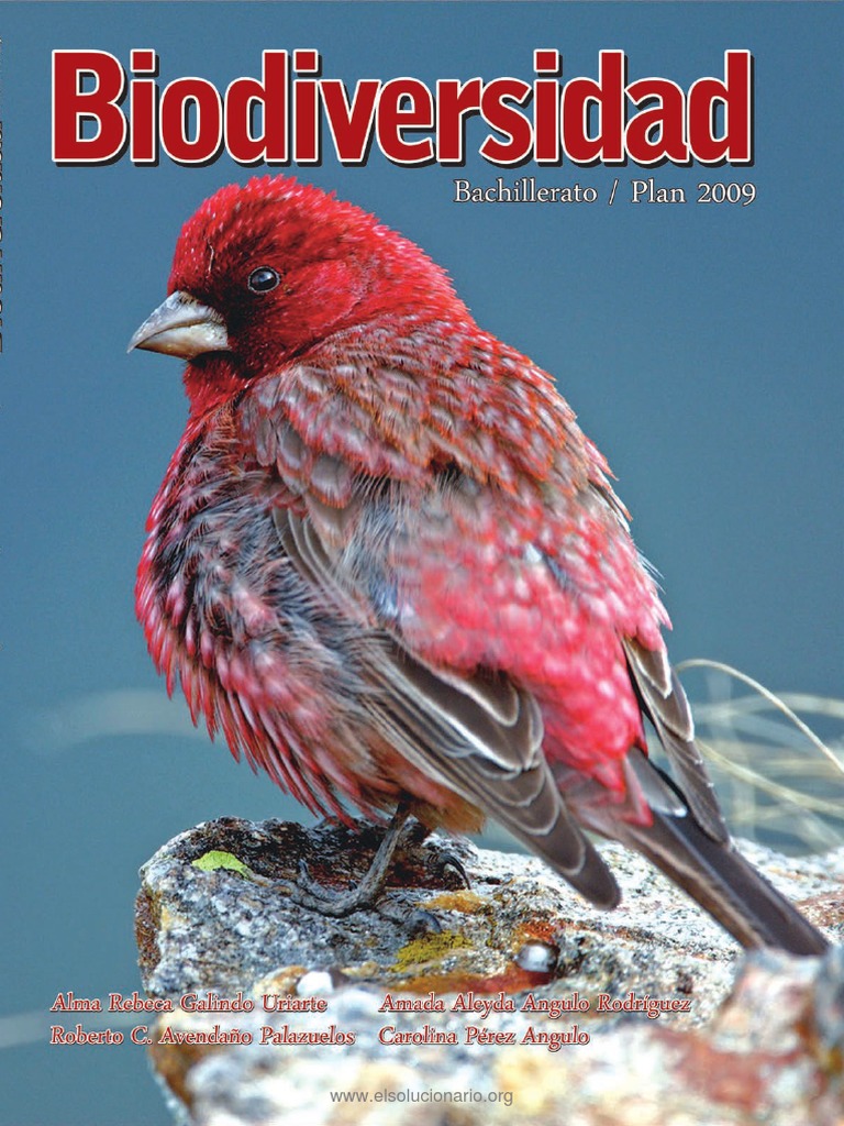 Biodiversidad - Alma Galindo, Amanda Angulo, Roberto Avendaño, Carolina ...