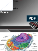 CMB - Intracellulartrafficsortingofproteins