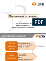 Hipocalcemia, Cetosis e Hipomagnesemia