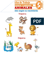 Los Animales para Ninos de 5 Anos