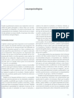 Proceso Evaluación Neuropsicologica