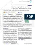 Focus On Human Monoamine Transporter Selectivity. New Human DAT and NET Models, Experimental Validation, and SERT Affinity Exploration
