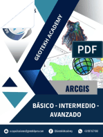 Brochure Curso Arcgis Completo