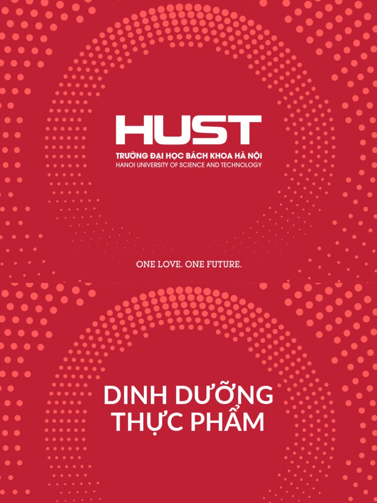 hust-ppt-template-2021-red-3x4-pdf