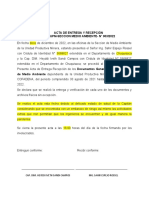 Acta de Entrega Secciones