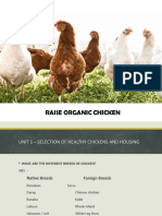 MTJ Raise Organic Chicken - SAG