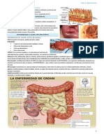 3 - Intestino Delgado y Colon