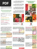 Recomendações para uma alimentação diária mais saudável