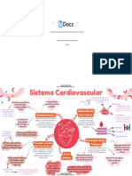 Mapa Mental Sistema Cardiovascular 399437 Downloable 2309306