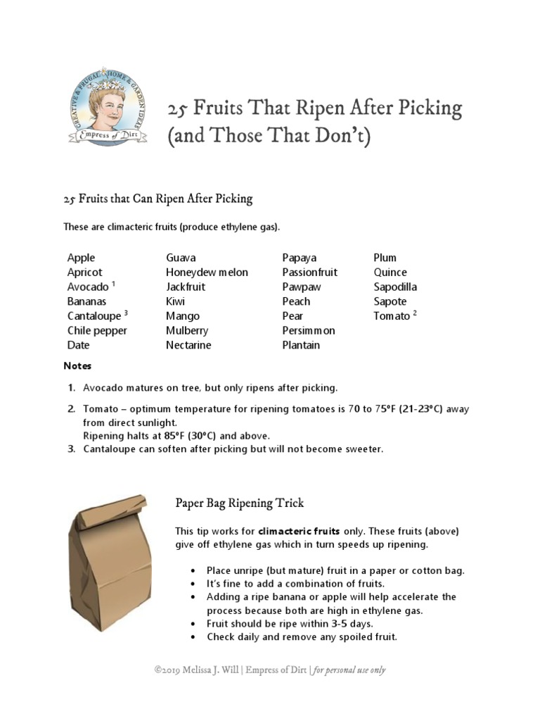 Fruits - Ripening EODv2.0 | PDF | Fruit | Berry