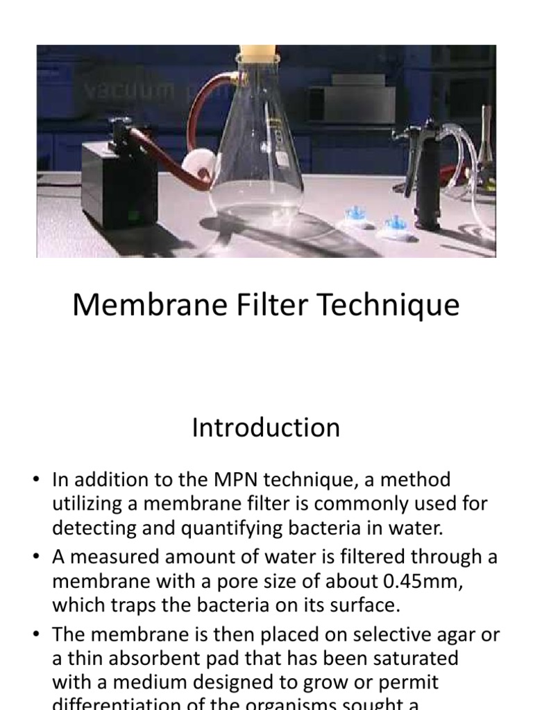 Membrane filter technique PDF Bacteria Microbiology