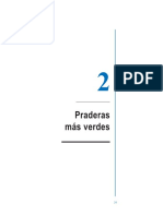 2 Praderas Mas Verdes