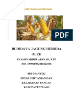 Bukleet Budidaya JAGUNG HIBRIDA