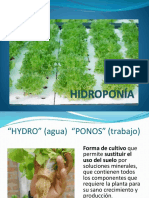 Hidroponia 1 1