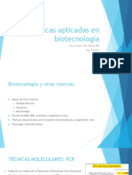 Técnicas biotecnológicas PCR electroforesis Southern Northern