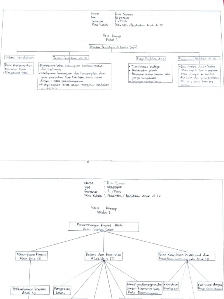 Peta Konsep Modul 1 Dan 2 PDGK4403 | PDF