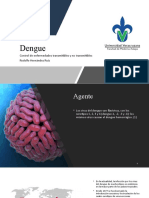 Dengue 91062