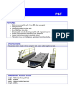 Flyer P6T Pontoon