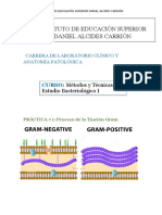 Informe de Coloracion Gram