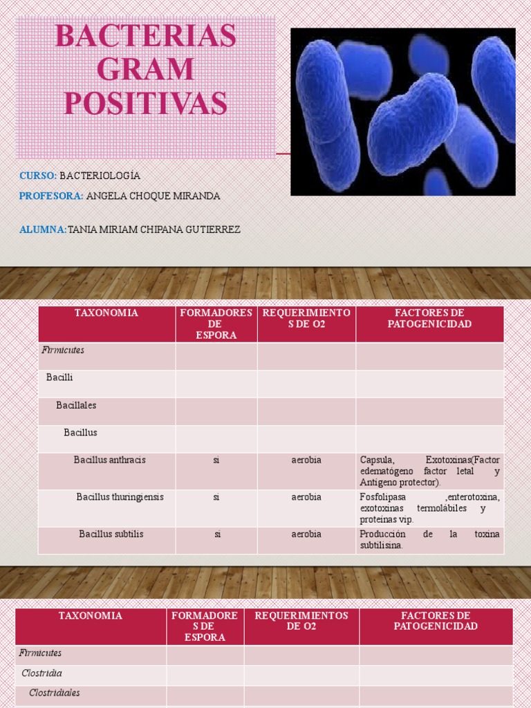 Bacterias Gram Positivas | Descargar gratis PDF | Bacilo ...
