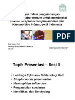 Dodi Streptococcus-Haemophilus-SESI-II