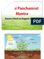 Bhumi Panchamrut - Soil Rejuvenator