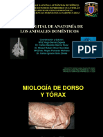 Miología de Dorso y Tórax Rev 2020