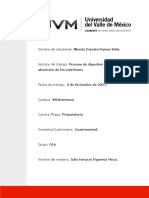 Proceso de Digestión de Los Alimentos y Absorción de Los Nutrientes