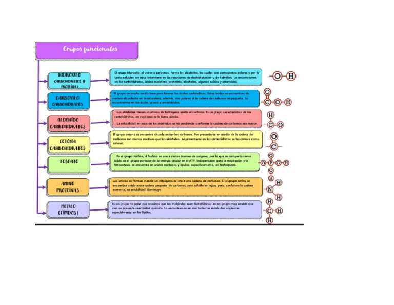 Grupos Funcionales PDF