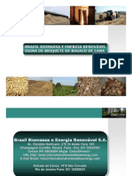 Brasil Biomassa - SPE - Briquette Bagaco de Cana 1