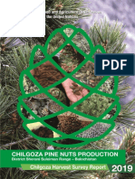 Chilgoza Nuts Production Survey in Suleiman Range Balochistan