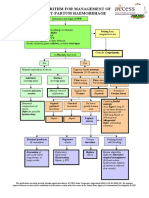 15 NG - PPH Algorithm-Aug08