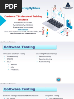 Software Testing