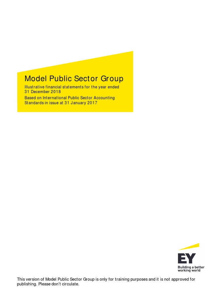 Model Public Sector Group - PULSAR - Disc | PDF | Financial Statement ...