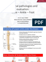 Diagnostic Imaging - 10 - Regional Pathologies and Evaluation - Knee - Ankle - Foot - Prof - Dr.İsmet TAMER