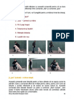Arta Și Secretul Dresajului Canin 41 -60