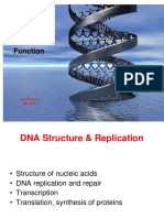 Eukaryotic Genomes