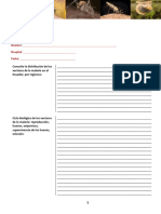 Ilovepdf Merged