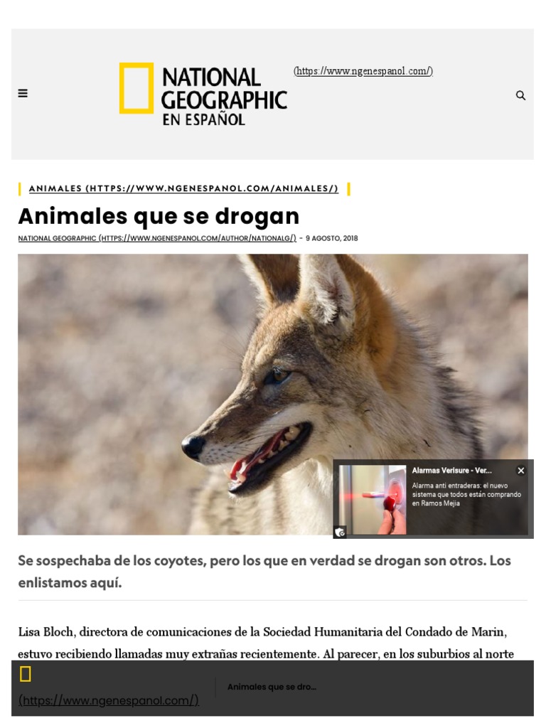 Animales Que Se Drogan - National Geographic en Español | PDF ...