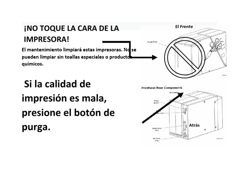 Squid Printer Spanish PDF