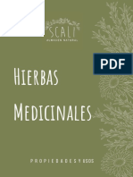 H.S 02. Hierbas Medicinales - Propiedades Según El Uso (Infusiones y Sahumos)