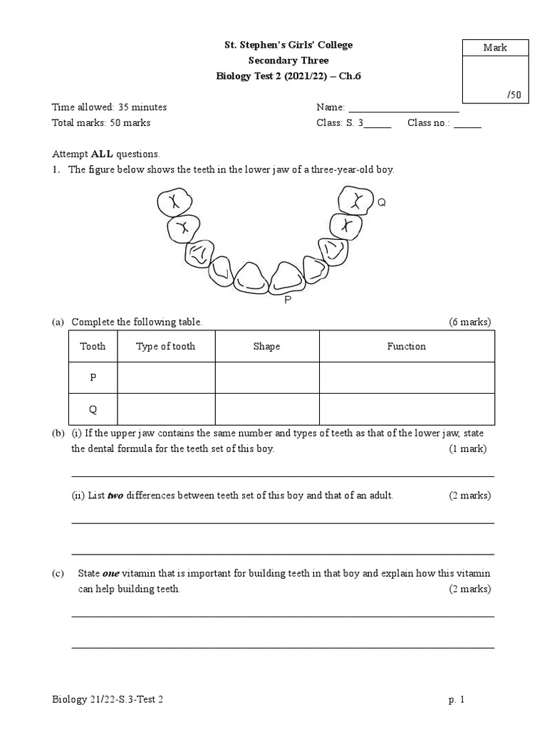 F3 Nutrition in Human Test 2 ? | PDF | Digestion | Tooth