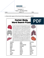 Grade IV The Human Body WS-3