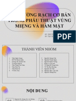 Các Đường Rạch Trong Phẫu Thuật Hàm Mặt