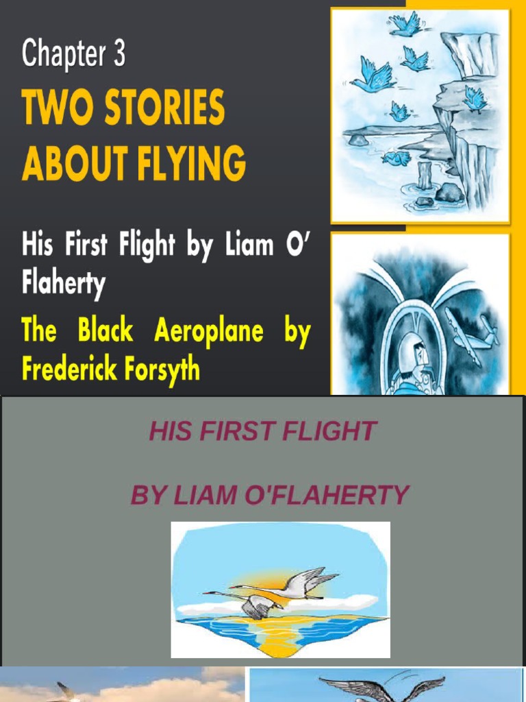 Two Stories About Flying Ch6 | PDF