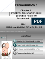 Profesi Akuntan Publik (CPA)