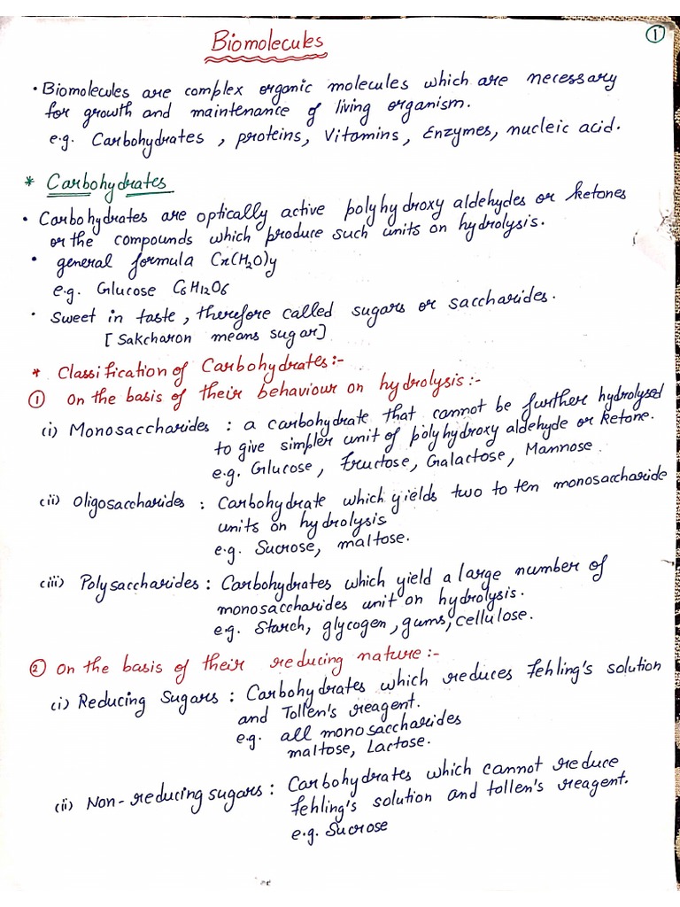 Biomolecules Notes PDF