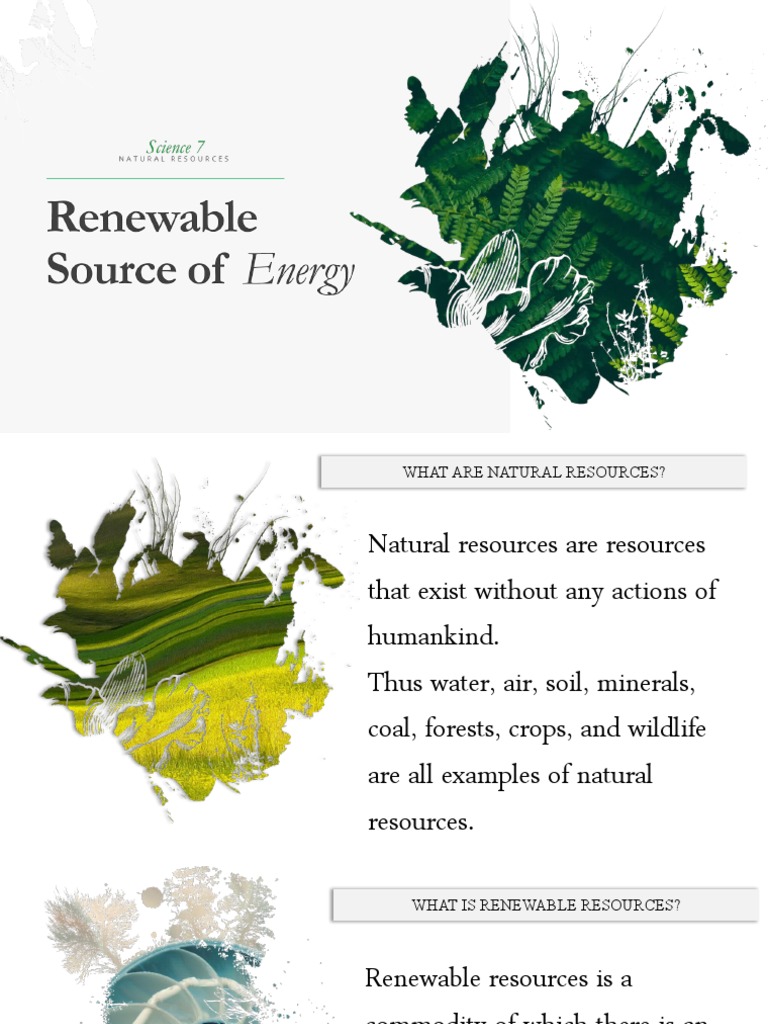 Which Correctly Lists Three Renewable Resources Used by the Restaurant -Sustainability on the Menu